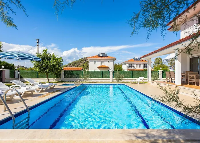 Vista * Дальян